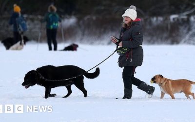 13f16920-e819-11f0-839a-cb59c476f427.jpg - RadarPress