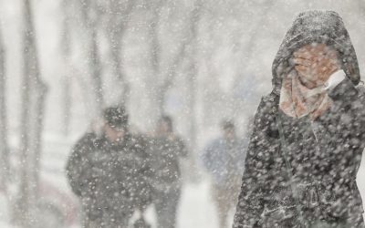 1769490090_index.jpeg - RadarPress