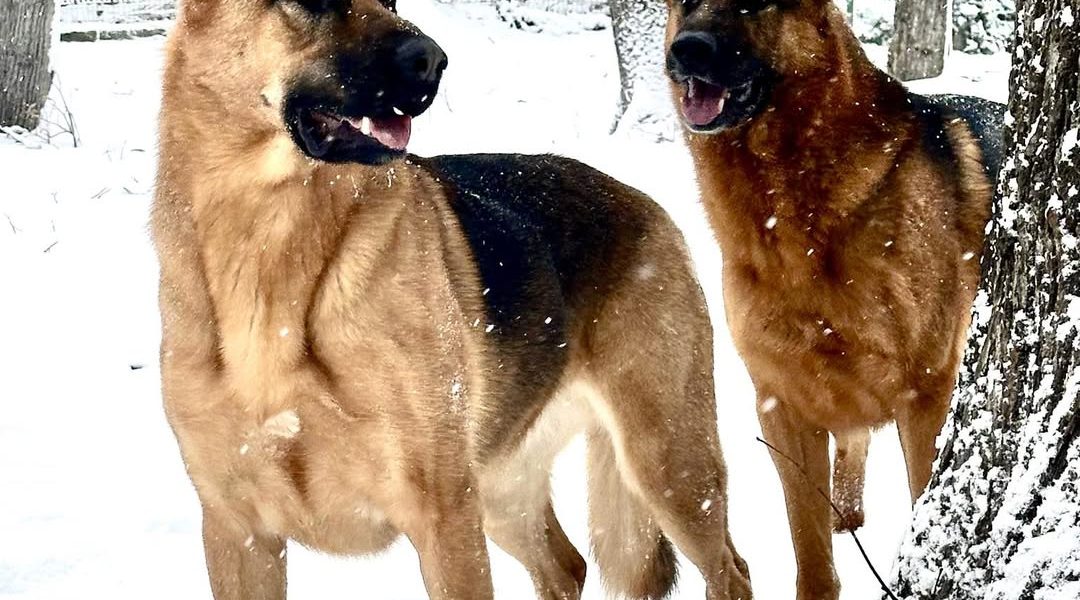 614862386_1473170691474745_5015169552524529986_n.jpg - RadarPress