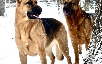 614862386_1473170691474745_5015169552524529986_n.jpg - RadarPress