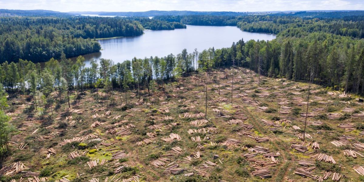 GettyImages-1336631428.jpg - RadarPress