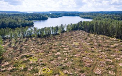 GettyImages-1336631428.jpg - RadarPress