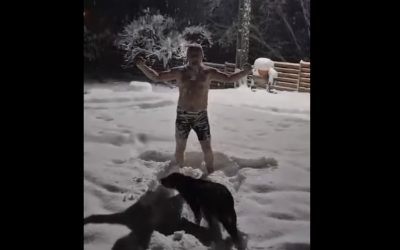 Heius-in-Zapada-3.jpg - RadarPress