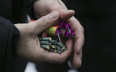 ID129394_INQUAM_Photos_Octav_Ganea.jpg - RadarPress