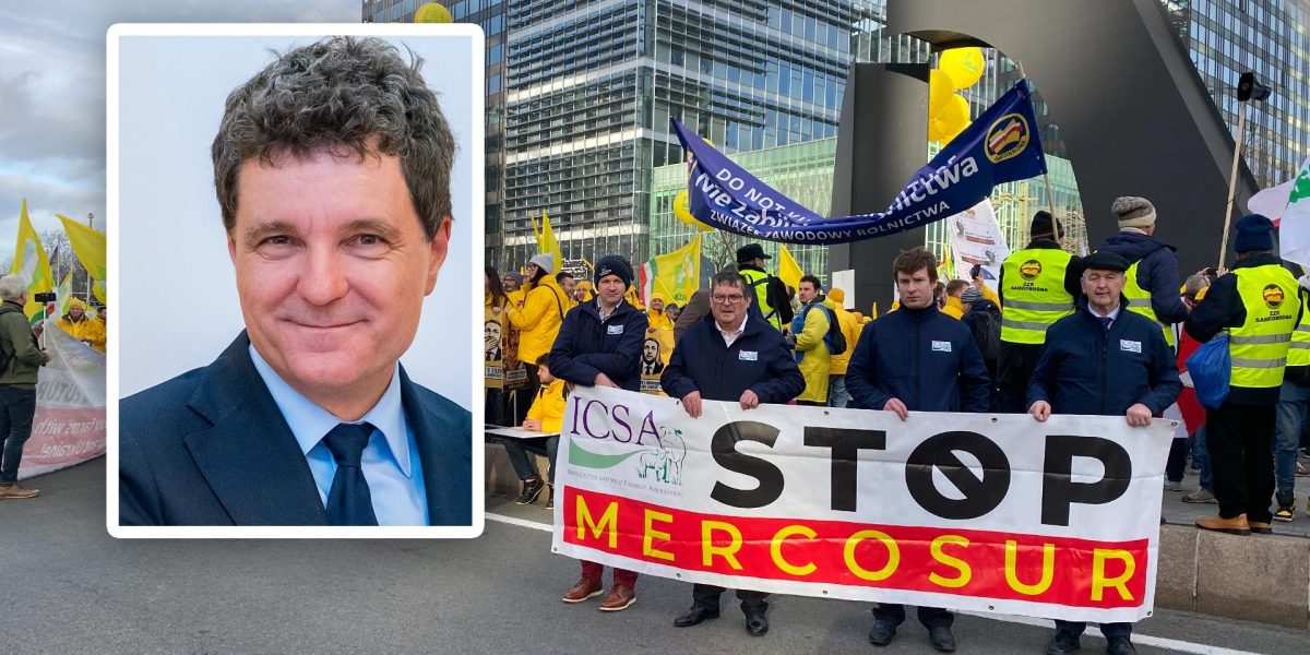 Nicusor-Dan-spune-ca-Romania-sustine-acordul-Mercosur.webp.jpeg - RadarPress