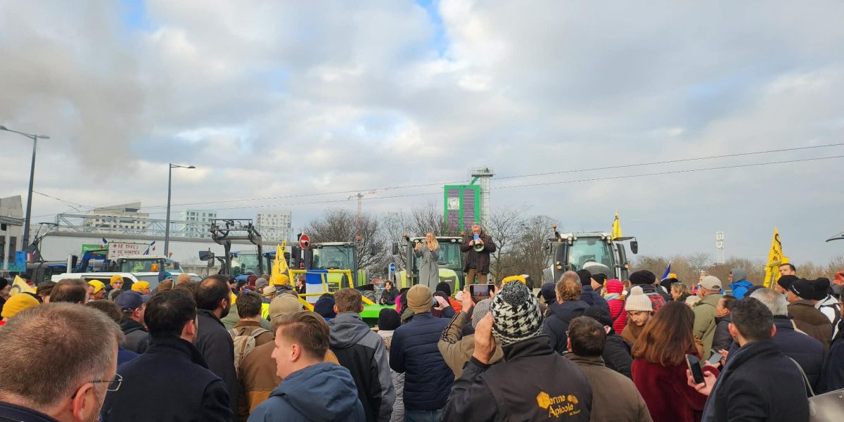 OTg5YTk4MmJmOTcxMGFkZDNmOTE3ODM2NTJjZg.thumb_.jpg - RadarPress