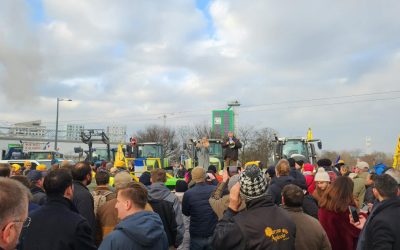 OTg5YTk4MmJmOTcxMGFkZDNmOTE3ODM2NTJjZg.thumb_.jpg - RadarPress