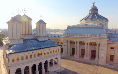 aD03ZWZhODYxOWNiYjc4NzQ0N2JmNDk4NzBmYTVjMmRjMQ.thumb_.jpg - RadarPress