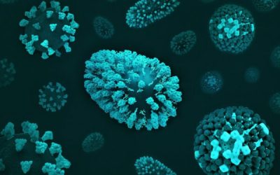 admin-ajax-5-1.jpeg - RadarPress