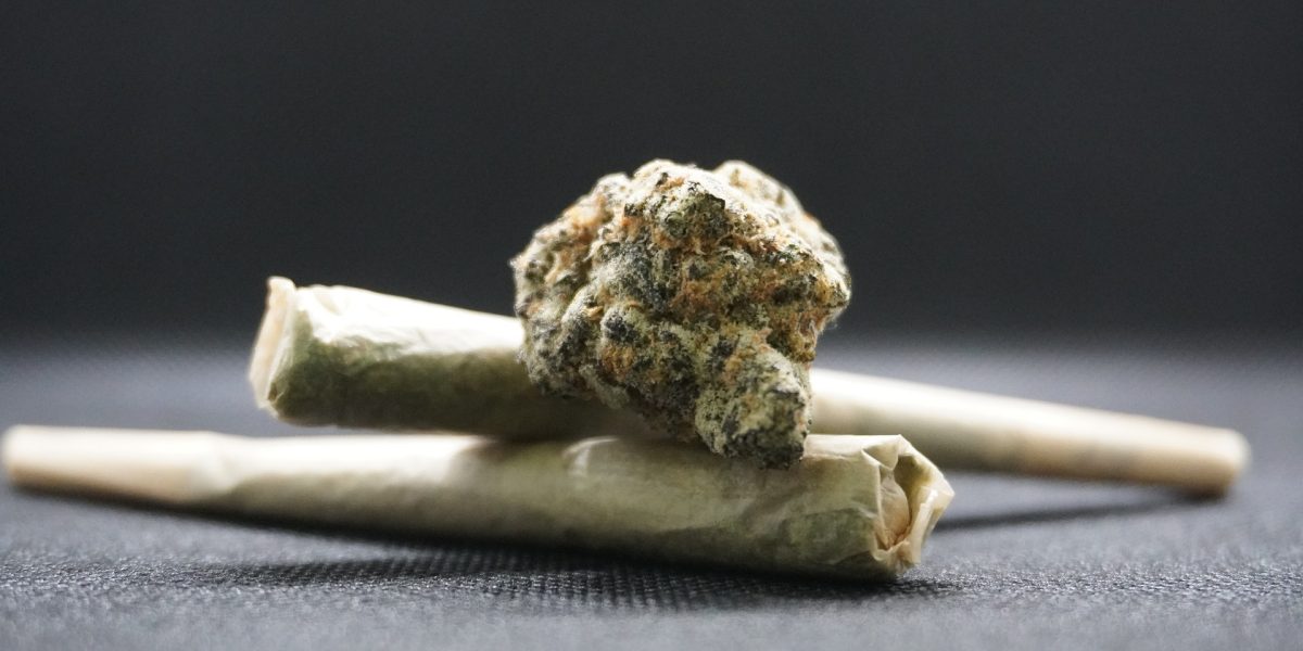 canabis-marijuana-bumps-8054140_1920.jpg - RadarPress