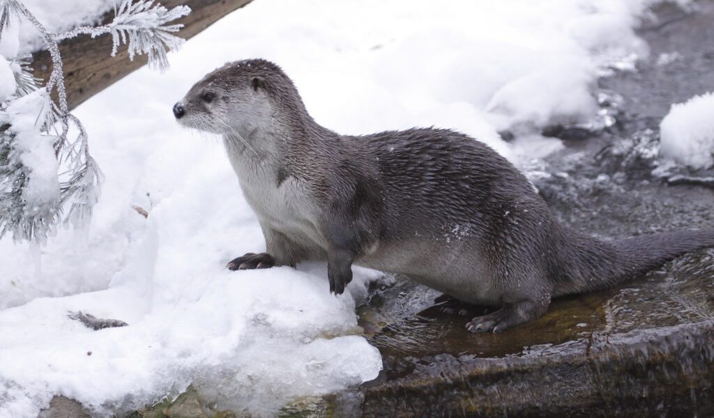 dreamstime_m_17303431-1024x683.jpg - RadarPress