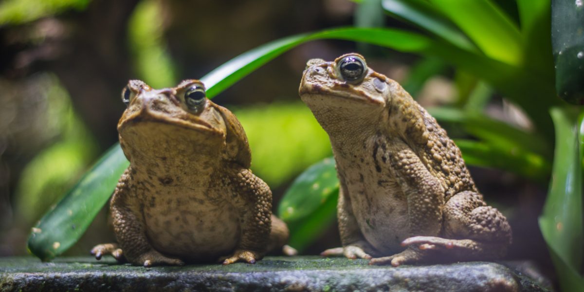 dreamstime_xl_123690325.jpg - RadarPress