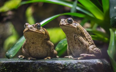 dreamstime_xl_123690325.jpg - RadarPress