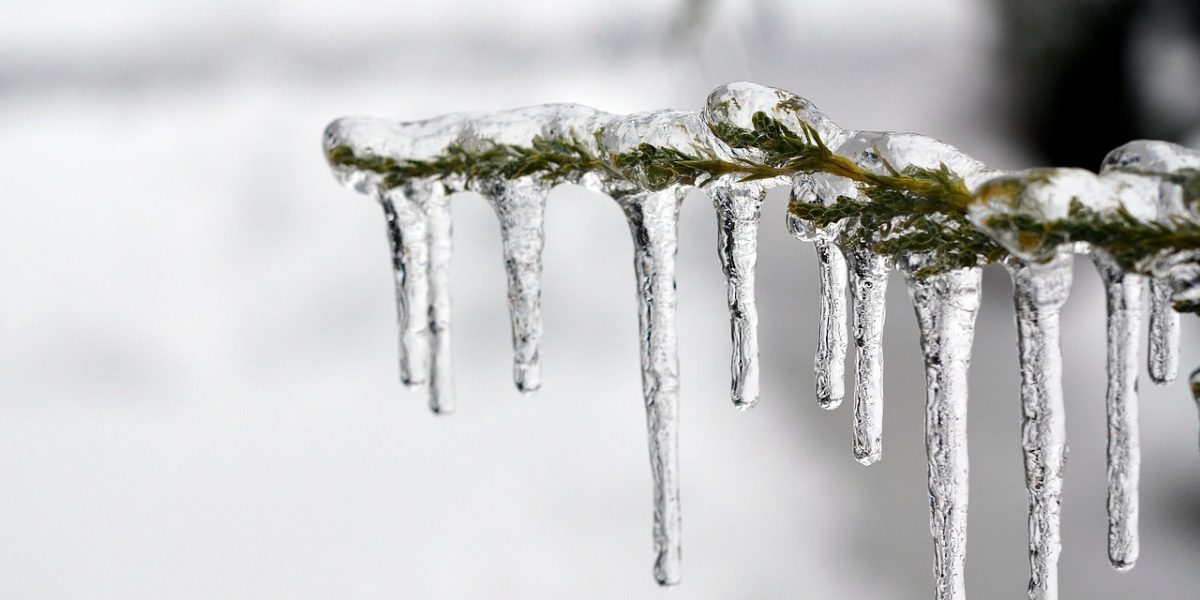 ice-1343342_1280.jpg - RadarPress