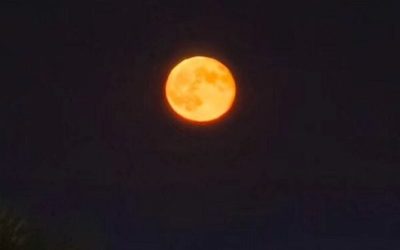 luna-4-e1767379918868.jpg - RadarPress