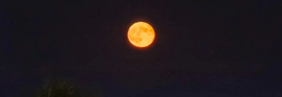 luna-4-e1767379918868.jpg - RadarPress