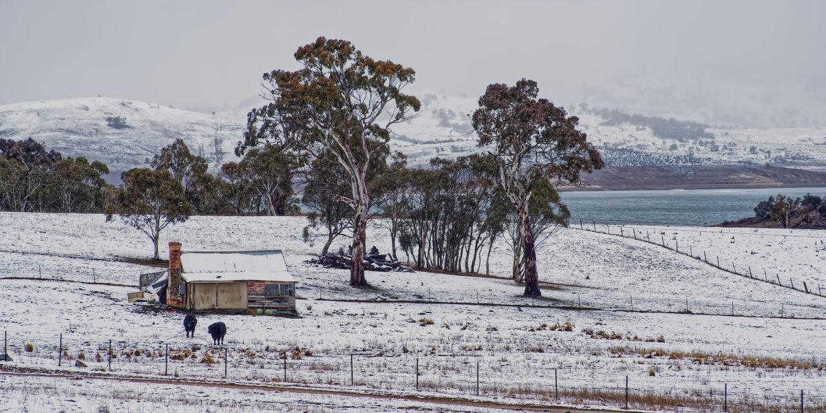 pexels-mark-thomas-2149938474-30979871.jpg - RadarPress