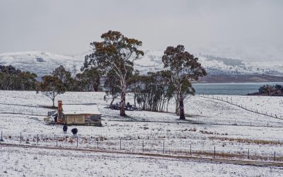 pexels-mark-thomas-2149938474-30979871.jpg - RadarPress