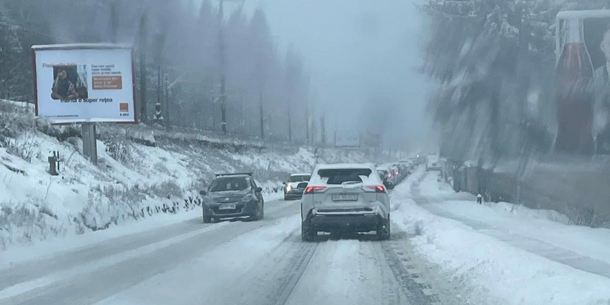 poza-art.jpeg - RadarPress