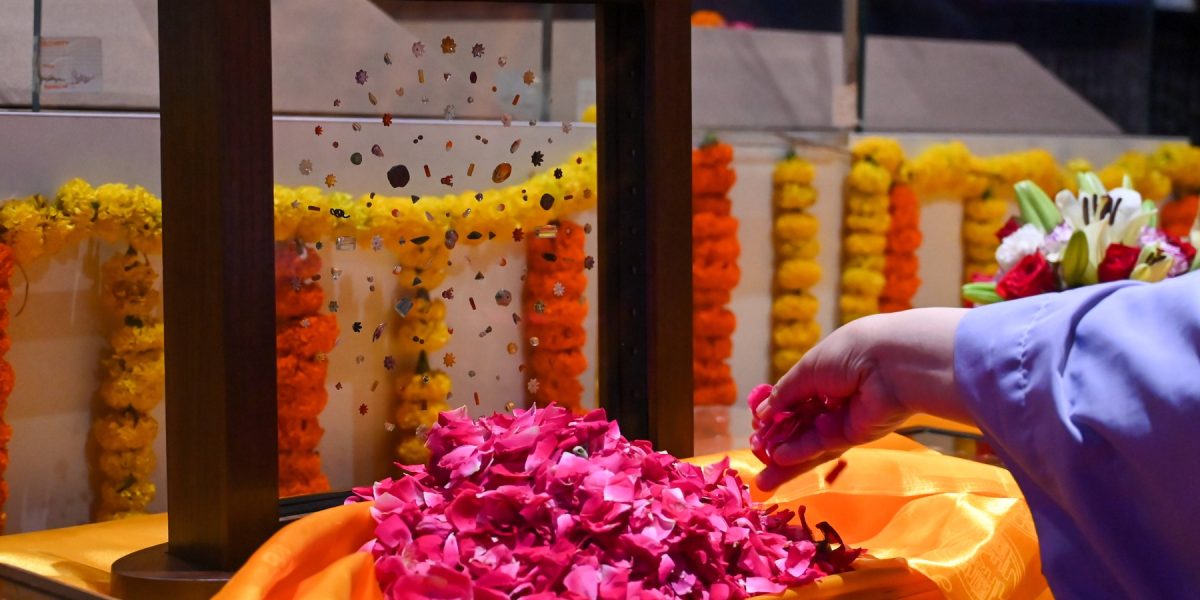 profimedia-1026803337.jpg - RadarPress