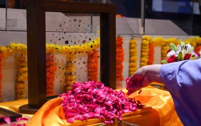 profimedia-1026803337.jpg - RadarPress