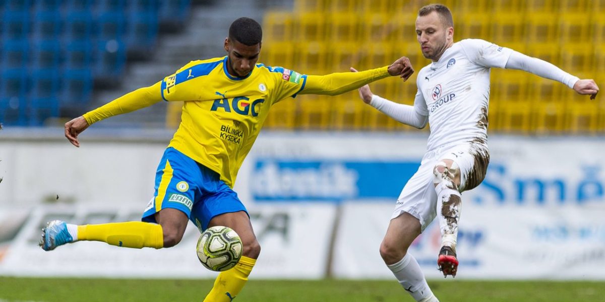 toutou-imago47014849.jpg - RadarPress