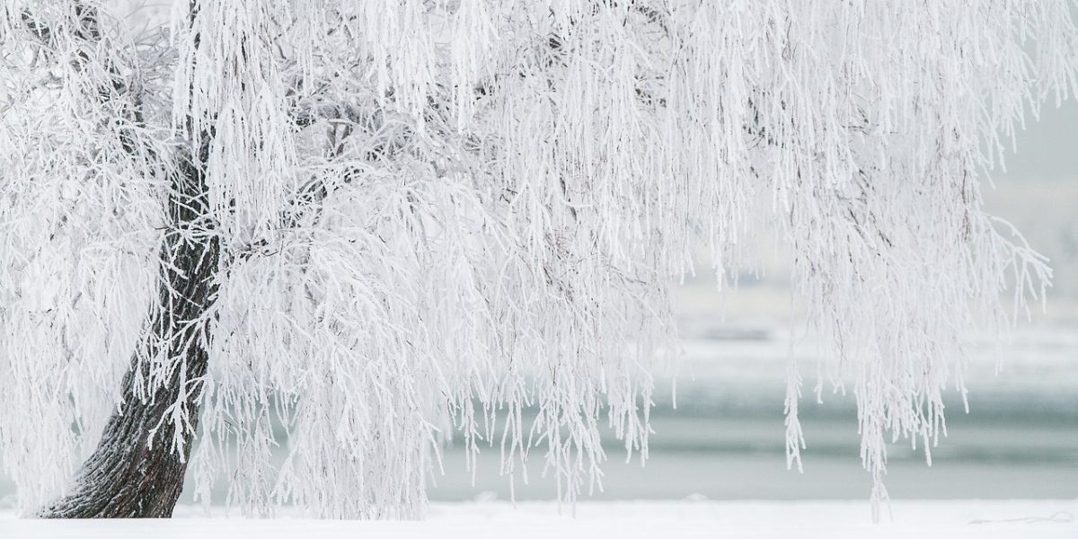 winter-1367153_1280.jpg - RadarPress