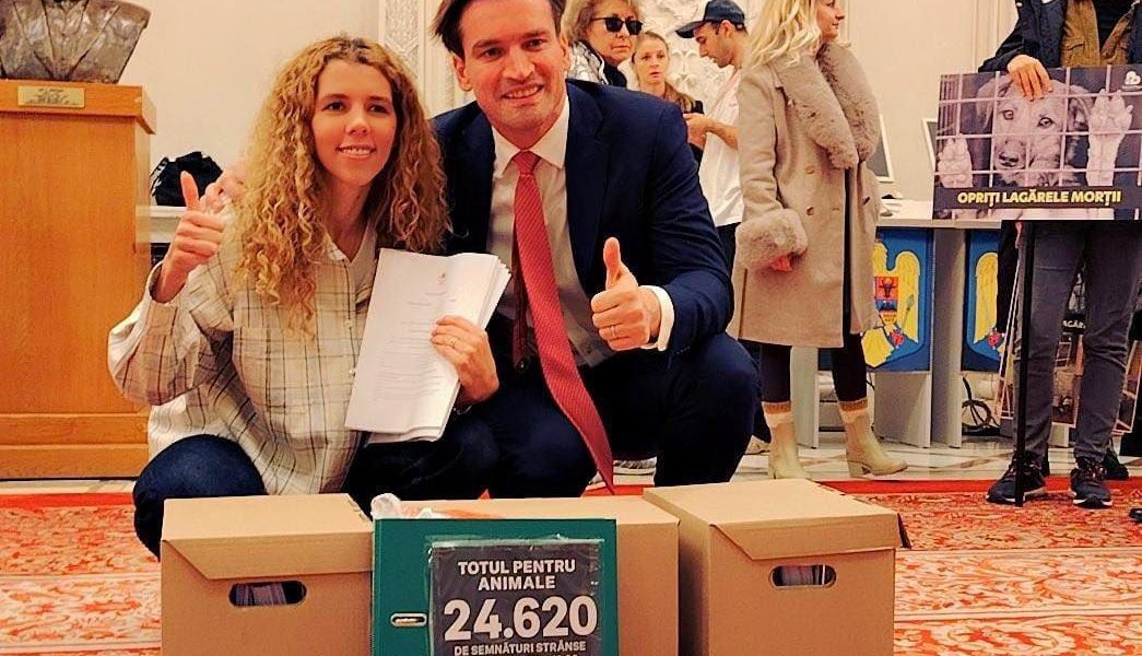 Ministrul Educatiei introduce ora de educație pentru animale în școli.