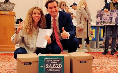 Ministrul Educatiei introduce ora de educație pentru animale în școli.