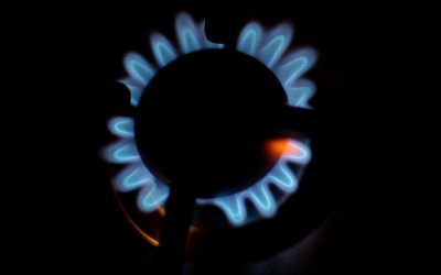 82003c33-ec60-4449-9f50-49bc4fdab088.jpg - RadarPress