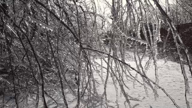 Valul de ger siberian a ajuns în România. Cod galben de temperaturi foarte scăzute în mai multe județe din țară