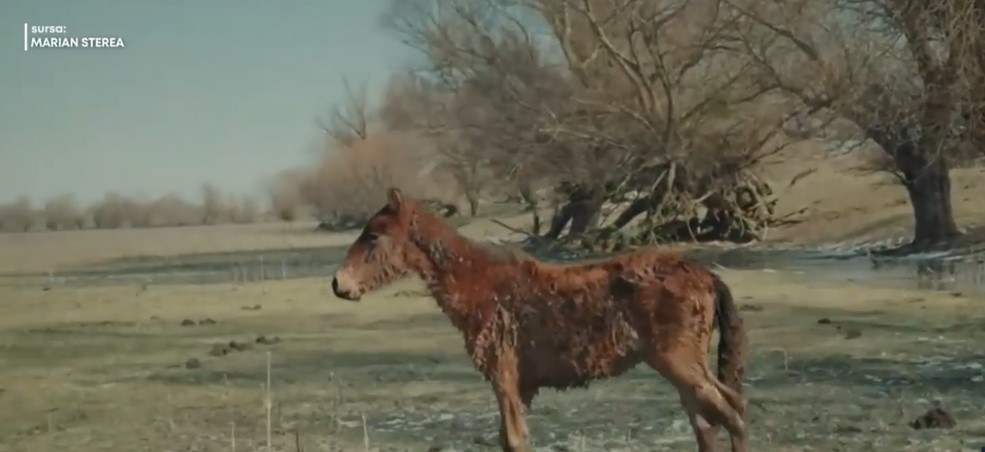 manz.jpg - RadarPress