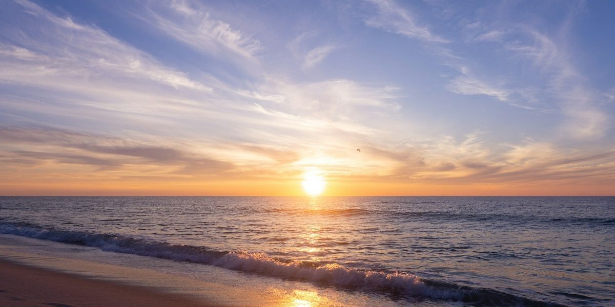 Controlul pe litoral: informare, prevenție, sancțiuni