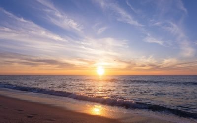 Controlul pe litoral: informare, prevenție, sancțiuni