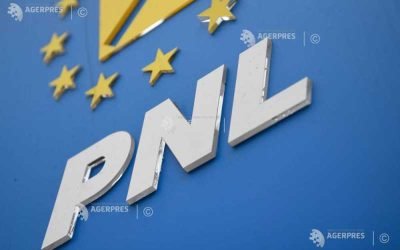 Pn: Rectorul de la suceava, mihai dimian, propus ministru al educației!