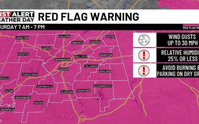 Alertă de vreme severă în Birmingham, Alabama: Vânt puternic și riscul de incendii BIRMINGHAM, Ala
