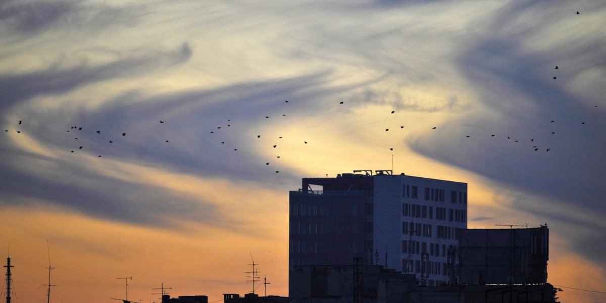 Vremea se dezmorțește: temperaturi blânde și cer variabil în următoarele zile Vești bune pentru iubitorii de vreme caldă: săptămâna viitoare ne așteaptă temperaturi apropiate sau chiar ușor peste valorile normale pentru această perioadă a anului