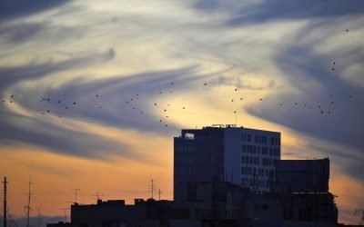 Vremea se dezmorțește: temperaturi blânde și cer variabil în următoarele zile Vești bune pentru iubitorii de vreme caldă: săptămâna viitoare ne așteaptă temperaturi apropiate sau chiar ușor peste valorile normale pentru această perioadă a anului