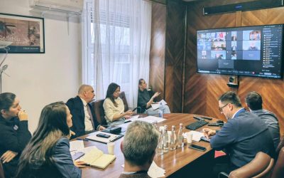 MAE: Repatrierea românilor din zonele de risc, condiționată de siguranță.