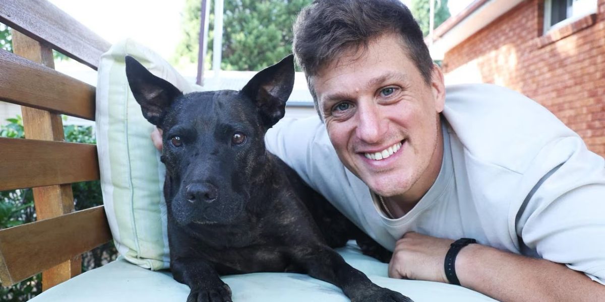 Un antreprenor folosește inteligența artificială pentru a trata cancerul la un câine: o poveste cu potențial revoluționar Deputatul PNL Andrei Baciu a relatat pe rețelele de socializare o poveste fascinantă despre inovație și speranță, în care inteligența artificială (AI) și medicina genomică au fost utilizate pentru a ajuta un câine diagnosticat cu cancer