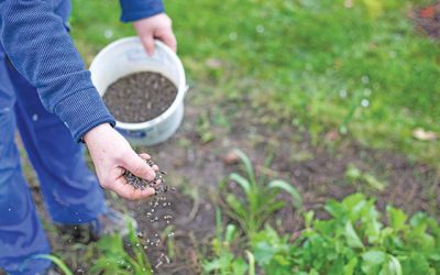 Scumpiri la orizont: Fermierii români, dependenți de importurile de îngrășăminte, se confruntă cu turbulențe pe piață Prețurile îngrășămintelor au crescut în majoritatea categoriilor, dar cele mai afectate sunt produsele pe bază de azot, precum ureea și azotatul de amoniu