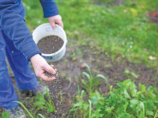 Scumpiri la orizont: Fermierii români, dependenți de importurile de îngrășăminte, se confruntă cu turbulențe pe piață Prețurile îngrășămintelor au crescut în majoritatea categoriilor, dar cele mai afectate sunt produsele pe bază de azot, precum ureea și azotatul de amoniu