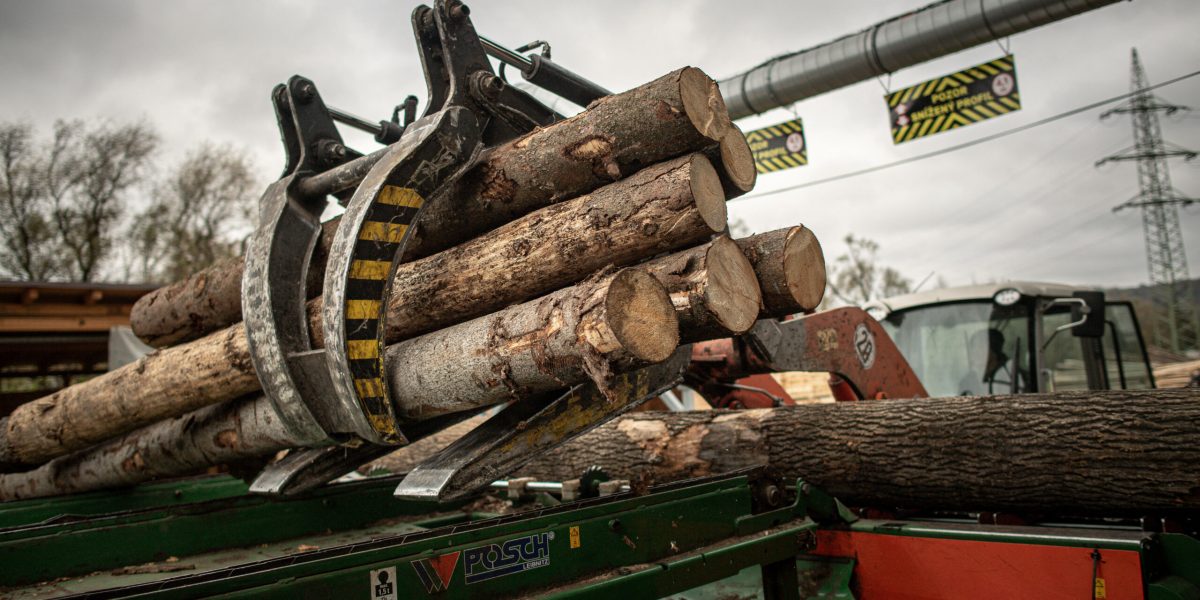 Echipamente moderne, mijloc nou de combatere a tăierilor ilegale de arbori Ministerul Mediului introduce echipamente moderne de marcat arborii, înlocuind metoda tradițională a ciocanului