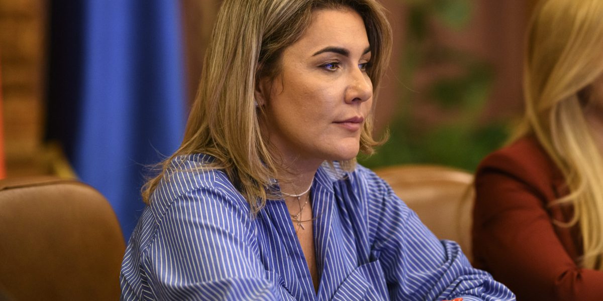 AUR cere demisii la Ministerul de Externe după un incident în Dubai Partidul Alianța pentru Unirea Românilor (AUR) condamnă ferm modul în care Ministerul Afacerilor Externe (MAE) gestionează situația cetățenilor români aflați în Orientul Mijlociu, în special după un incident în Dubai