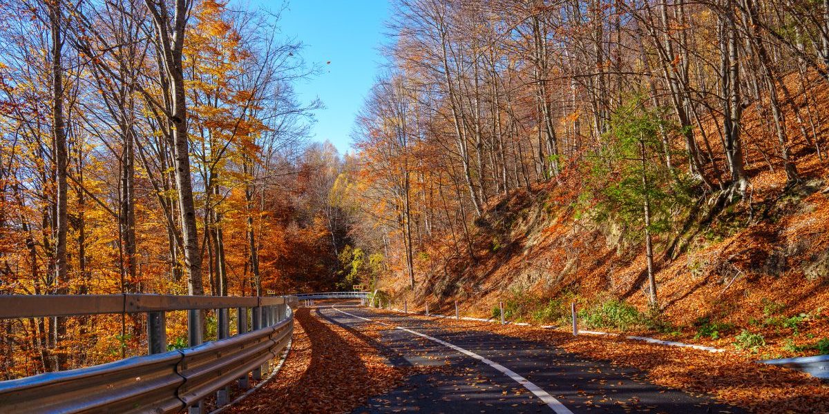 Soveja ia măsuri drastice împotriva abandonării deșeurilor: peste 30 de camere de supraveghere vor fi instalate Primăria comunei Soveja, județul Vrancea, va instala peste 30 de camere de supraveghere video în zonele vulnerabile la depozitarea ilegală a deșeurilor, inclusiv în pădure și pe izlazuri