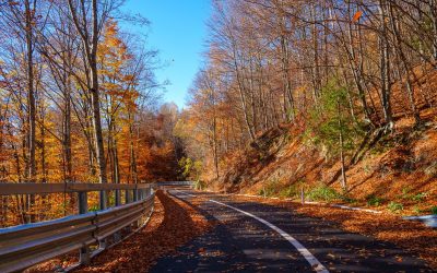 Soveja ia măsuri drastice împotriva abandonării deșeurilor: peste 30 de camere de supraveghere vor fi instalate Primăria comunei Soveja, județul Vrancea, va instala peste 30 de camere de supraveghere video în zonele vulnerabile la depozitarea ilegală a deșeurilor, inclusiv în pădure și pe izlazuri