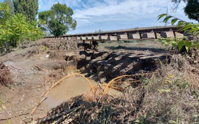 Trenurile pe ruta Galați-Bârlad ar putea circula din nou în vară, după ce inundațiile au distrus calea ferată Circulația trenurilor între Galați și Bârlad, întreruptă din cauza inundațiilor severe din toamna anului 2024, ar putea fi reluată în vara acestui an, conform informațiilor publicate de publicațiile de specialitate