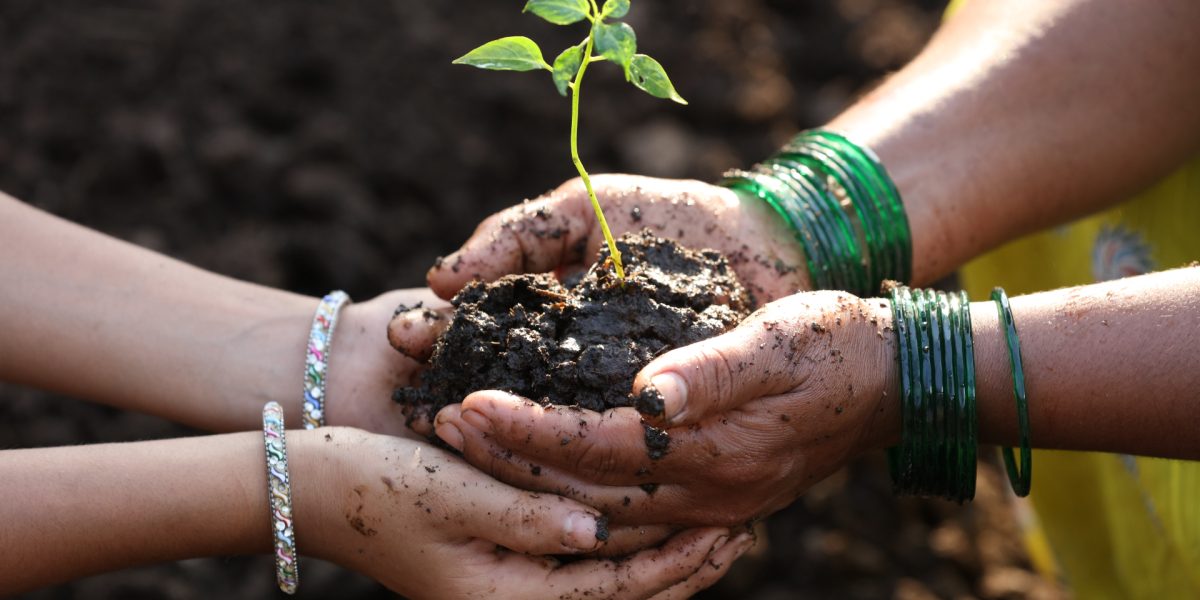Comisia Europeană lansează o platformă pentru a sprijini femeile în agricultură Comisia Europeană a lansat o platformă dedicată promovării femeilor în agricultură, cu scopul de a încuraja egalitatea de șanse în comunitățile rurale din statele membre