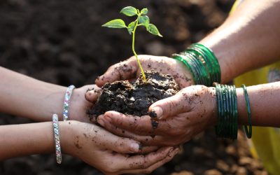 Comisia Europeană lansează o platformă pentru a sprijini femeile în agricultură Comisia Europeană a lansat o platformă dedicată promovării femeilor în agricultură, cu scopul de a încuraja egalitatea de șanse în comunitățile rurale din statele membre