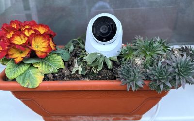 Synology TC500: Noua cameră de supraveghere cu accent pe simplitate și performanță Synology a lansat recent modelul TC500, o cameră de supraveghere tip turret care promite o combinație de calitate a imaginii, ușurință în utilizare și integrare cu ecosistemul propriu de produse